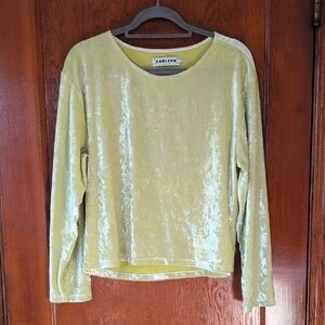 Carleen Velvet Boatneck Top in Silvered Lime